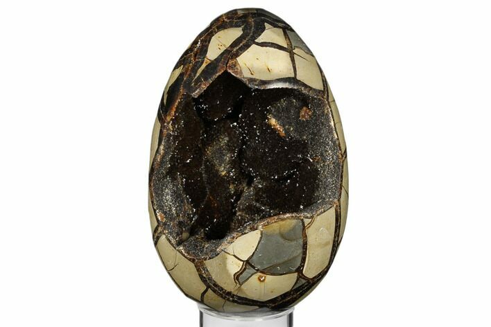 Septarian Dragon Egg Geode - Black & Brown Crystals #183111